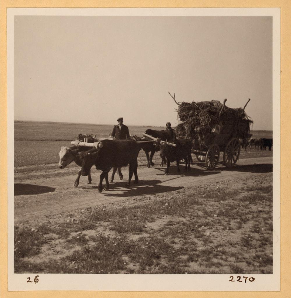 Assyrian refugees moving to a new village, Jazira, 1939