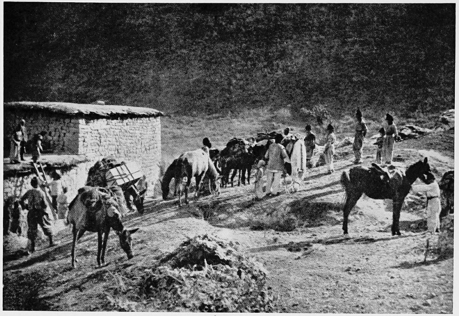 A halt for the night at Malikta, Berwar