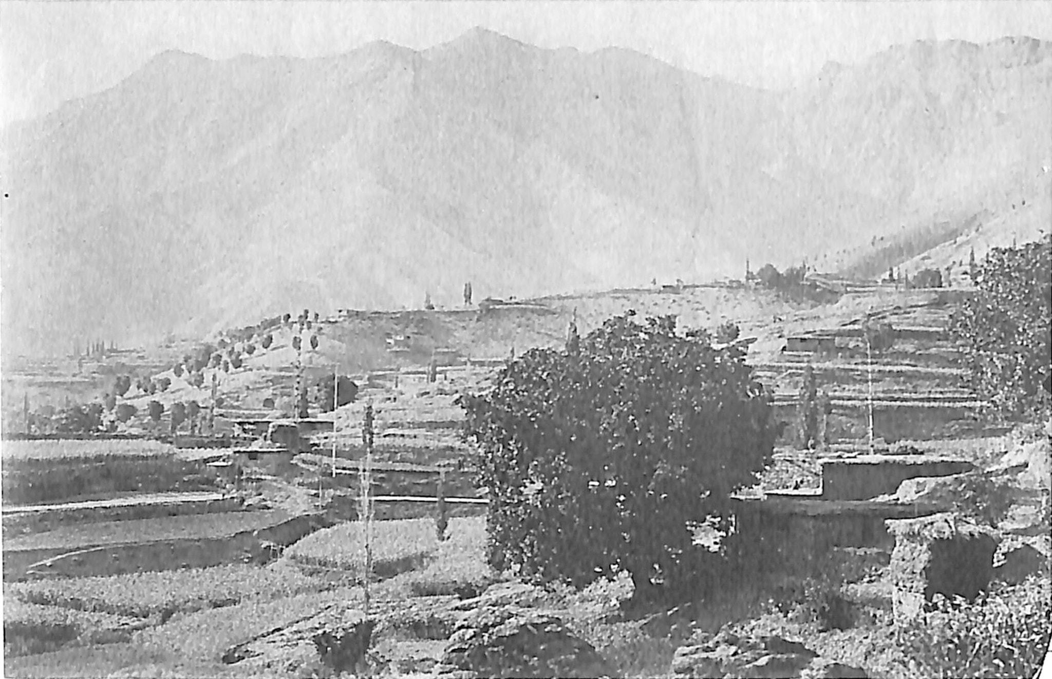 Ashitha, Lower Tyari, with terraced millet fields, 1912