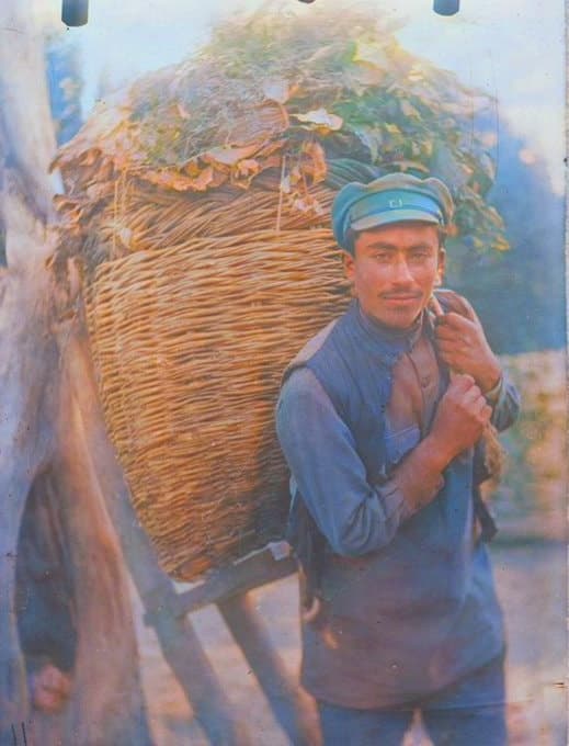 Young Assyrian man carrying grass in Arzni, Soviet Armenia, 1938